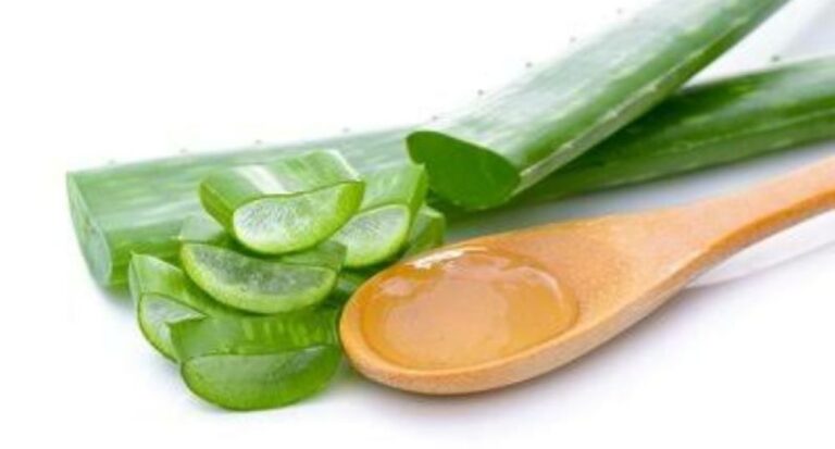 Aloe Vera health benefit